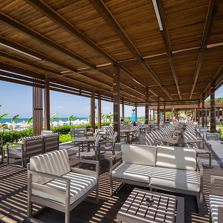 Seaden Quality & Ultra 5* シダ